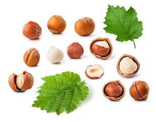 a set of hazelnuts isolated on white background