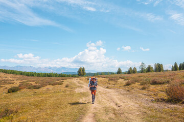 Alone traveler with large backpack walks along hiking trail on sunlit high mountain plateau under white clouds in blue sky. Backpacker with photo camera in autumn mountain trekking in good weather.