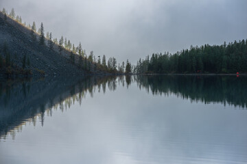 Tranquil meditative misty scenery of glacial lake with pointy fir tops reflection at early morning. Graphic EQ of spruce tops in golden sunlight on alpine lake horizon in mystery fog. Mountain lake.