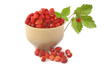 Wild strawberries in bowl with sprig  isolated on a white