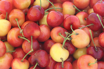 Tasty red and yellow cherry. Background.