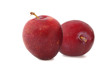 The bordeaux plums isolated on a white