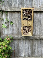Close up of bee hotel in organic home made with recycled timber, branches garden grown bamboo plant poles for bees, insects and lace wings nest Summer construction house on wood fence background 