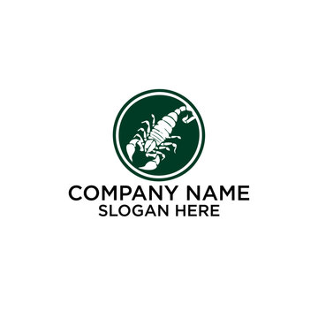 Scorpion animal Logo Template premium

