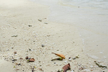 fallen fruits and leaves on a white sand beach, Two Dogs Island,               Palau