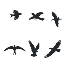 bird silhouette logo collection flying in the sky
