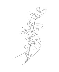 Hand holding a small branch with leaves, isolated on white background.
