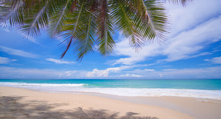 Naklejka na ściany i meble Beach with coconut trees blue sky sunny. Panorama tropical coconut paradise island.