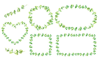 Eucayptus wreath set. Place for text. Watercolor illustration. Isolated on a white background.