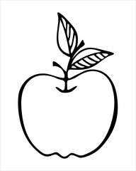 Apple doodle hand drawn contour, white background. Vector illustration