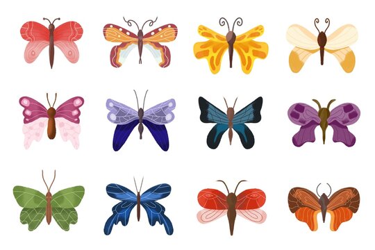 Set of butterflies isolated on white background. Wildlife colorful butterfly for design. Exotic tropical insect illustration bundle.