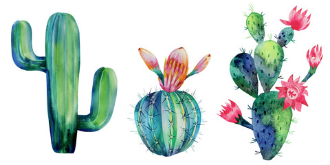 A set of watercolor cacti, succulents. Hand-drawn in watercolor.