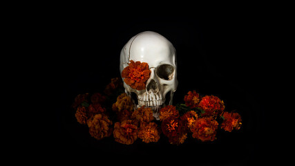 Skull, Burning candles and marigold flowers on black background. Concept of Dia de los muertos day or day of the dead. Dark halloween banner.