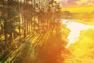 Aerial View Of Pine Forest And River. Elevated View Of Woods Forest River Landscape During Sunset In Autumn Evening. Sun Sunlight Through Woods And Trees In Autumn Forest Landscape.