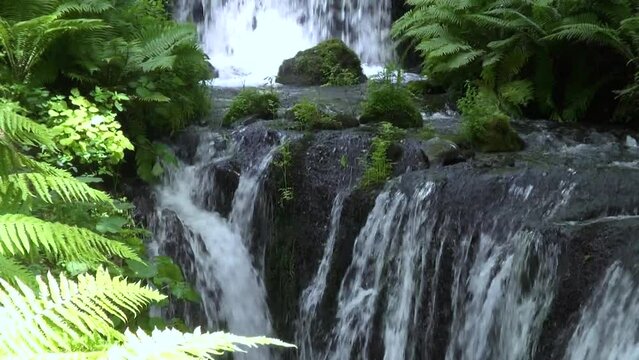 川, 滝, 軽井沢, 癒し, スポット, 白糸の滝, マイナスイオン, 浴びる, 避暑地, 涼, 北軽井沢, 群馬県, 白糸ハイランドウェイ, 美しい, 観光, せせらぎ, 自然, 景勝地, 流れる, 景色, 水, 水しぶき, 湧き水, 浅間山, 森, 緑, 幻想的, フォルム, 風景, 観光地, 青空, 日本, 空, 清流, 植物, 流れ, 夏, 旅行, 森林, 河川, 名所, 屋外, 新きれい