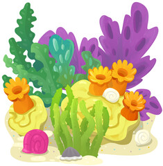 cartoon scene with coral reef element isolated illustration for children
