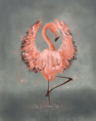 Pink flamingo balley - 529148784