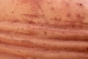 Graphic textures and backgrounds of concrete, wooden background texture.