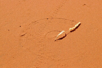 Sand clock