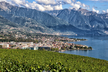 Fototapeta na wymiar Chexbres - Lavaux vineyards on terraces, UNESCO World Heritage Site, Lake Geneva shore, Lac Leman. One of Switzerland's best-known and most fascinating wine-growing regions.