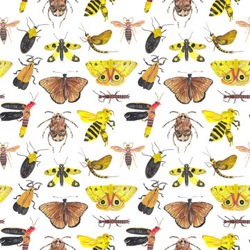 Seamless pattern with colorful insects. Wallpaper, wrapping paper, digital paper, surface pattern design, fabric and textile design. Background with hand painted gouache illustrations. 