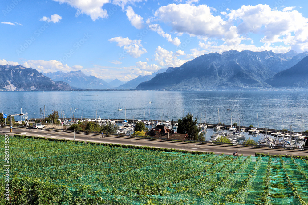 Wall mural Chexbres - Lavaux vineyards on terraces, UNESCO World Heritage Site, Lake Geneva shore, Lac Leman. One of Switzerland's best-known and most fascinating wine-growing regions.