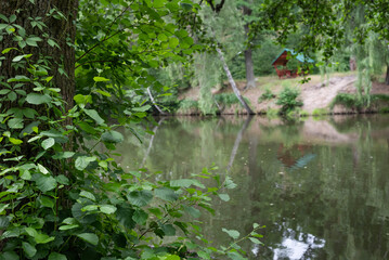 Blurred image of the river and the summer park.