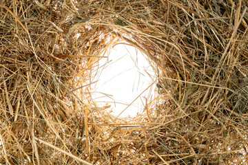 Dry harvest of hay from forbs and white round frame place. Cut and dried grass. Brown dry straw made from wheat, barley or rye. Harvest in autumn. Feed for farm animals. Beveled dry stems and twigs