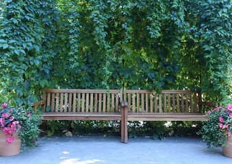 Wooden empty bench in the park