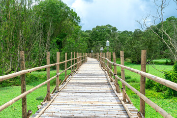 Fototapeta na wymiar The wooden bridge leading to the Melaleuca forest covered with green peaceful and cool in the Mekong Delta, Vietnam