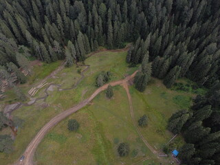 landscape from forest