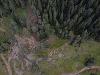 landscape from forest