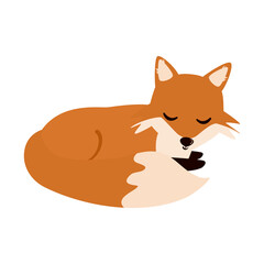 cute cartoon character fox isolated on white background