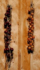 zwiebel aufhängen und trocknen