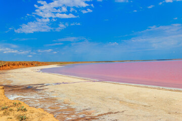 Fototapeta na wymiar View of the pink salty Syvash lake in Kherson region, Ukraine