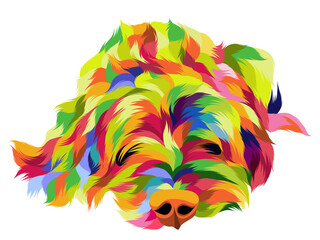 Dog pop art colorful