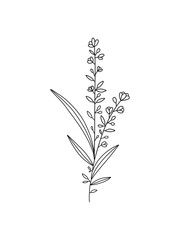 linear outline of a flower with leaves. flower sketch hand drawn isolated on white background. use for a logo, for a tattoo, for designing labels or printing cards and invitations