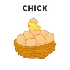 yellow chicks hatch from eggs kawaii doodle flat cartoon vector illustration