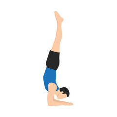 Man doing Feathered Peacock Pose, Forearm Stand. Practice Pincha Mayurasana. Flat vector illustration isolated on white background