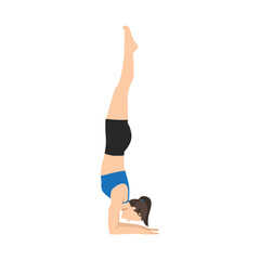 Woman doing Feathered Peacock Pose, Forearm Stand. Practice Pincha Mayurasana. Flat vector illustration isolated on white background