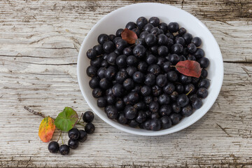 Chokeberry in the white bowl on old cracked wooden surface