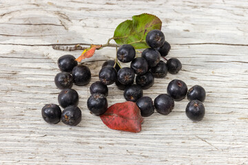 Berries of the black chokeberry on old cracked wooden surface