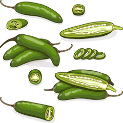 Set of green serrano Chile peppers. Whole, half, sliced and wedges of peppers. Chile serrano. Serrano chilis. Chili pepper. Vegetables. Cartoon style. Vector illustration isolated on white background.
