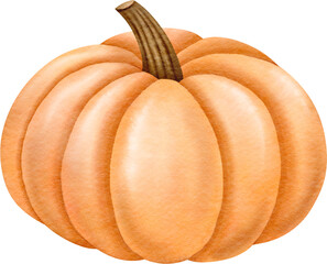 Pumpkin watercolor illustration
