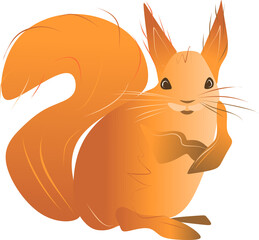 Illustration of a red squirrel. White background