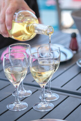 The waiter pours white wine from a bottle into 4 glasses. Man's hand holds a bottle of wine. Summer terrace of the restaurant, aperitif before oysters eating or lunch with friends.