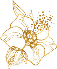 Gold line floral arrangement, fancy outline flowers with leaves and pollen on white background, hand drawn botanical illustration