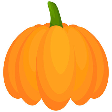 Pumpkin flat vegetable. Halloween harvest pumpkin.