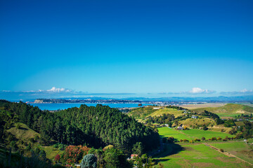 Fototapeta premium Aerial view over the green hills and calm blue sea behind. Beautiful day at Hawkes Bay, New Zealand