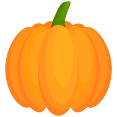 Pumpkin flat vegetable. Halloween harvest pumpkin.